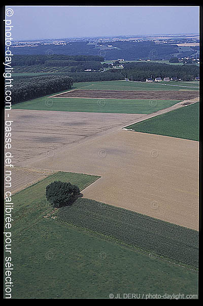 agriculture